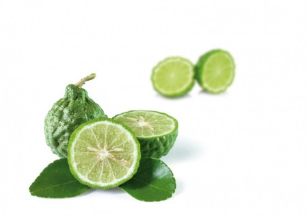 BERGAMOT Pruee